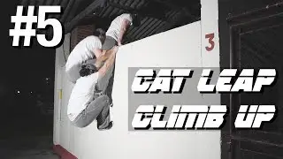 Tutorial #5 - Cat Leap/ Climb Up