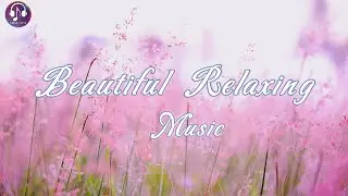 Beautiful Relaxing Music,Piano Music,Music at Outdoor Coffee Shop Ambience for Studying
