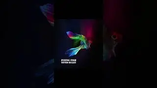 Flying Fish | Release Announcement  #systemoverload #tintedbullet