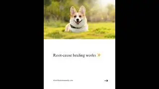 Is Your Dog Suffering From These 4 Major Allergy Triggers? #shorts