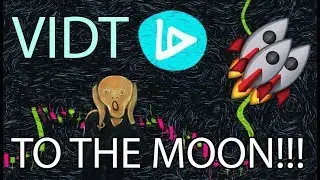 VIDT, the hidden gem altcoin to 10x in the next bull run