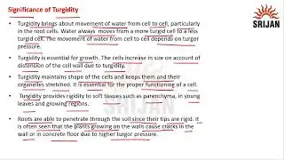8. Turgidity and Flaccidity