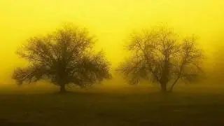 Darko Rundek - Grane smo na vjetru