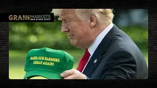 Деньги на пошлины: «Отдайте их нашим фермерам» — Трамп