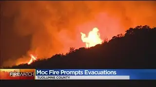 Moc Fire In Tuolumne County Grows To 2,500 Acres, No Containment Reported