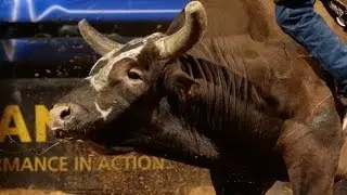 Bushwacker bucks off Chase Outlaw in 2.35 seconds (PBR)