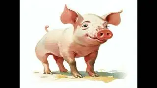 1HR L M WFS Funny Little Animals