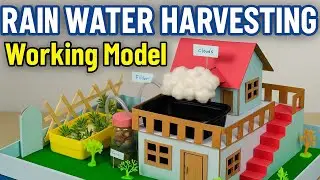 Rain Water Harvesting Working Model 🌧️ | How It Works | School Project | Save Water @CrezyNest