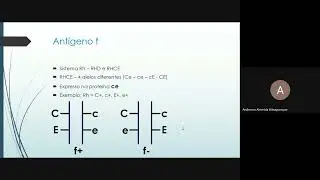 Discuss&atilde;o de casos da imuno hematologia - Facilitadora: Andressa Almeida