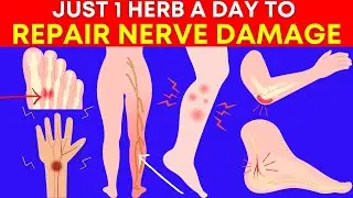 13 Incredible Herbs For Nerve Damage (Prevent Neuropathy)
