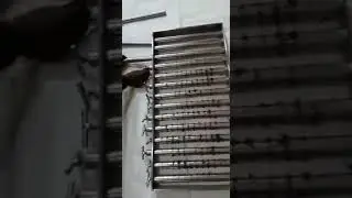 Hopper Magnetic Grills  #magnetic #maxima #neodymium #magneticgrill #grill #grillmagnet
