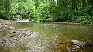 montour woods