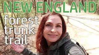 Let's Do a 5k Spring Trail Walk Together | New England Woods Vlog