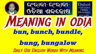 bun, bunch, bundle, bung, bungalow Meaning In Odia | Daily Use English Words With Meaning In Odia