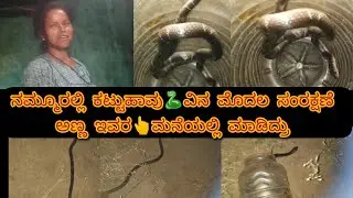 ಅಣ್ಣ ಸಂರಕ್ಷಣೆ ಮಾಡಿದಂತಹ ವಿಷಕಾರಿಹಾವು🐍#viral #post #save#animals#save #snacks #karnataka #kannada#share