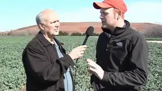 Canola TV- Time to Apply Herbicide and Fertilizer Applications