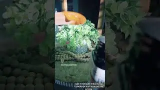 Натуральное средство из меда манука #медманука #натуральноесредство Подпишитесь, чтобы получать б...