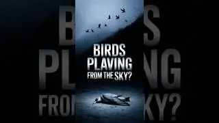 📅 Day-51 :Jatinga: Night of Falling Birds | India&rsquo;s Valley of Death Mystery#JatingaBirdMystery
