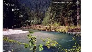 Introduction to Salmon Habitat Restoration - Lesson 1