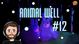 Let's Play Animal Well #12 - ON REPART &Agrave; Z&Eacute;RO ?