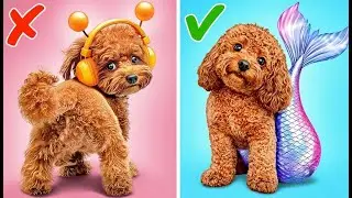 🐶✨ Fantasia de Sereia para Cachorrinho! *Acessórios e Artesanato Fofo para Pets* 🧜‍♀️