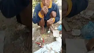 OLahan Alam Asli