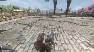 Tiger Knight Empire War - Parry Block Training