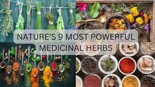 NATURE&rsquo;S 9 MOST POWERFUL MEDICINAL PLANTS AND ITS USES IN 2022