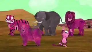 The animal dance competition, sponsored by preview to effects