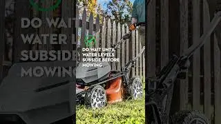 Summer Lawn Care Tips