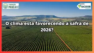 Podcast #204 - O clima esta favorecendo a safra de 2026?