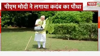 PM Narendra Modi Planted Kadamba Tree: PM मोदी ने अपने आवास पर लगाया कदम्ब का पौधा | Top News