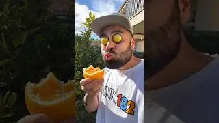 Хотите попробовать мои апельсины? 🍊✨ #шорты #смешно