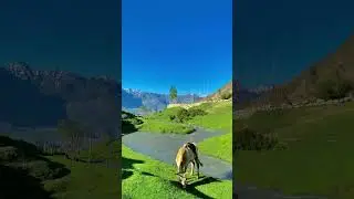 The Nagar Valley Gilgit Baltistan