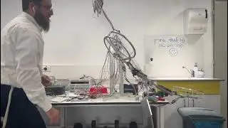 Flexible Drone vs. Rigid Drone: Experimental Validation of Passive Elastic Joints