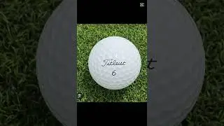 Team Taylormade or team Titleist