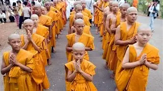 Maharashtra Intent on Separate Buddhist Marriage Law, Says Minister