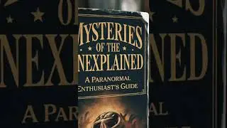 A Paranormal Enthusiast&rsquo;s Guide to explore haunted forests #mysticnaturestories #cryptidfieldguide