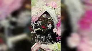 श्याम श्याम 2026 | Soft Krishna Bhajan | Peaceful Flute Meditation Song | Radha Krishna Bhakti