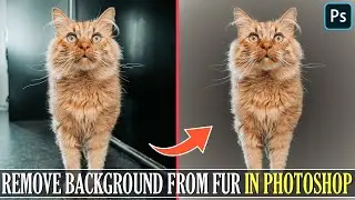 How To Remove Background From Fur In Photoshop I Photoshop Tutorial