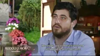 Costa Rican Coffee Documentary