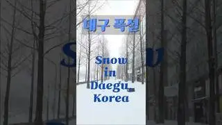대구 폭설 Heavy Snow in Daegu city, Korea #대구여행 #daegutravel #대구관광 #daegutour #대구여행사