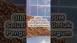 MESIN GILING SORGUM Solusi Efisien Pengolahan Sorgum #shorts #sorgum #mesin #mesingiling #giling