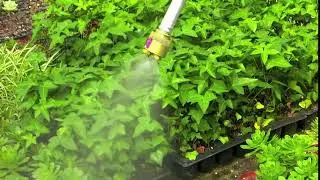 Fine FoggIt Nozzle In Use