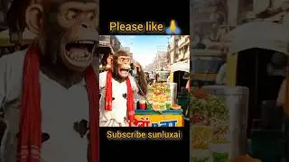 monkey 😅 #shorts #trendingshorts #viralvideo
