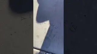Нашёл место, где жил маленький Мо с хромой ногой.