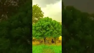 #foryou #viral #love #sad #viralvideo #like 🌾🌱🌈🖼️ #shoaib_kutwaal #kutwaal #yazman_mandi #fypシ