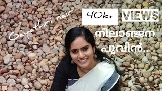 Neelanjana poovin | നീലാഞ്ജന പൂവിൻ | Paithrukam | Malayalam Melodies | Lullaby |