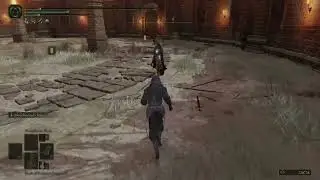 Dryleaf No Ash of War PvP