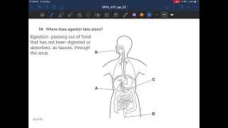 IGCSE Biology February/March 2021 0610/22 m21